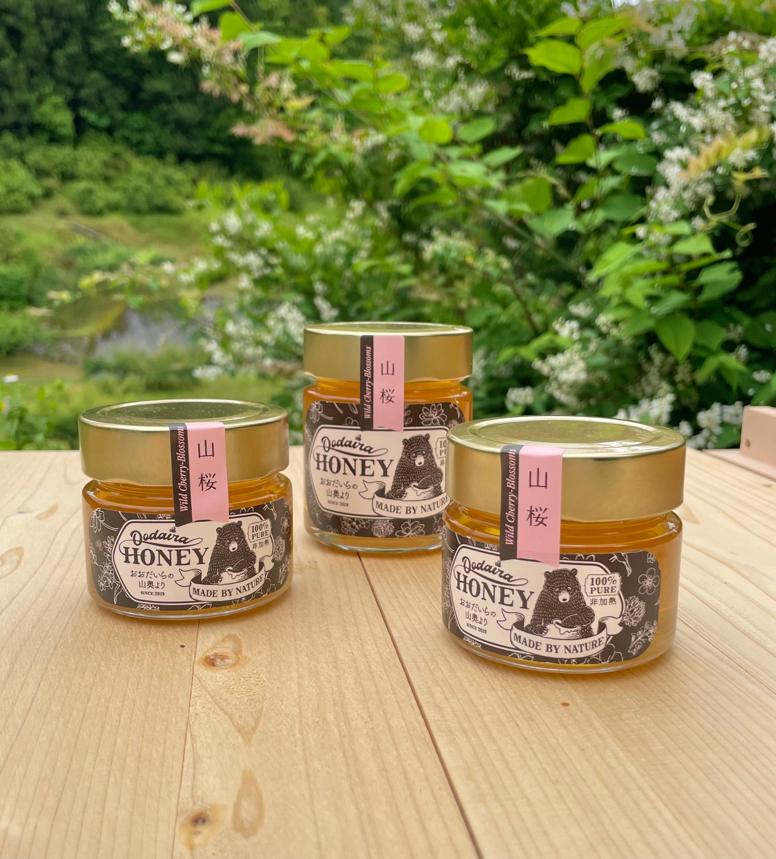 蜂さん専用 山桜はちみつ」販売開始しました – おおだいら養蜂 天然はちみつ｜国産